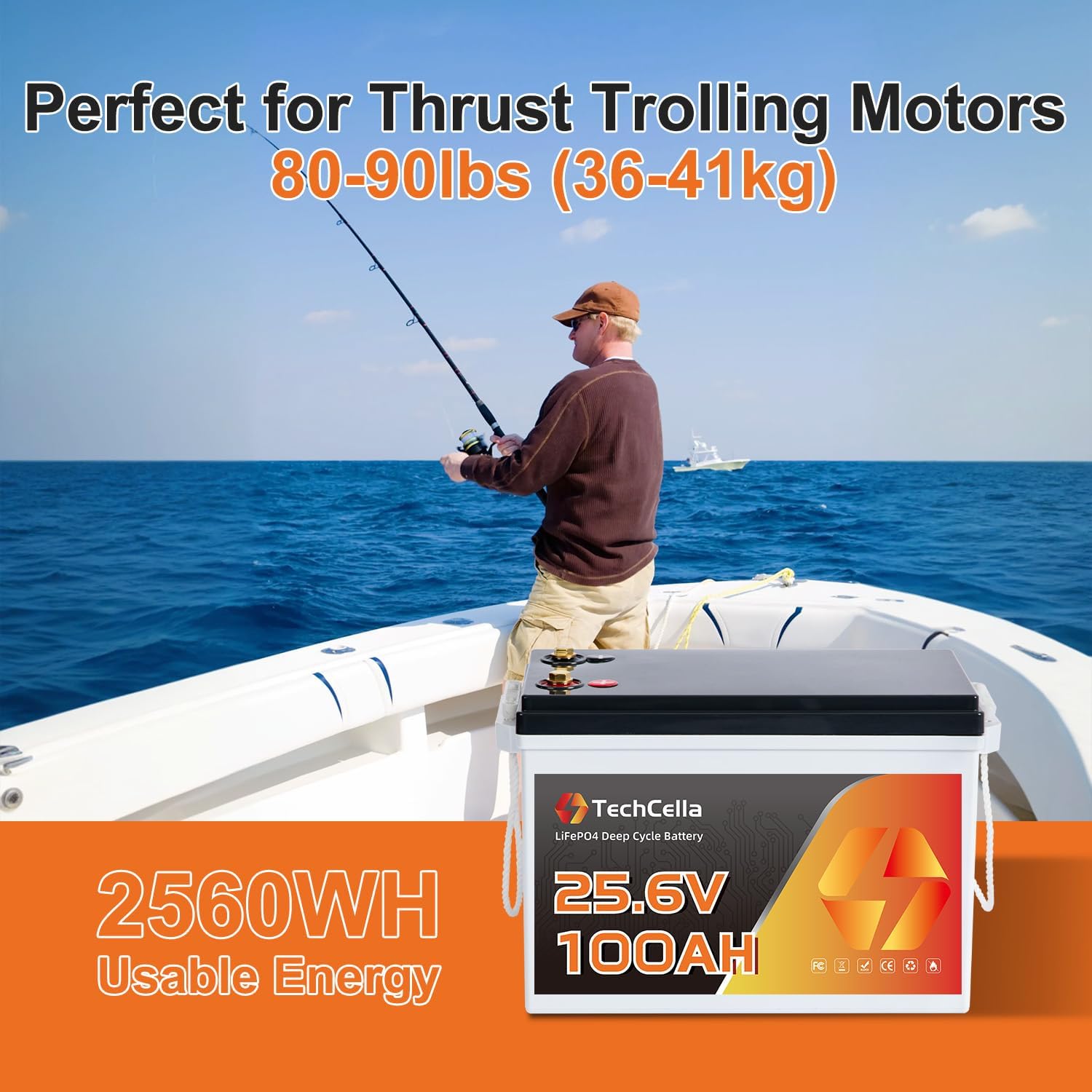 TechCella 24V 100Ah LiFePO4 Battery, 100A BMS, Low Temp Cut Off, Deep Cycle for Trolling Motor, Boat, RV, Solar, Camping, Off Grid (No Bluetooth)